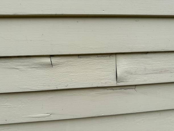 Best Custom Siding Design  in Del Rio, CA